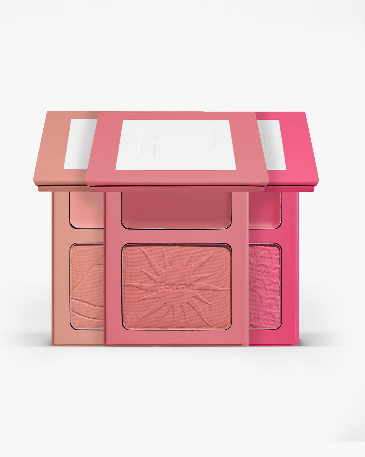 Blush + Pinceaux teint