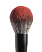 Powder blush